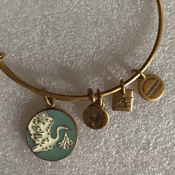 Alex and Ani Expandable Wire Bracelet - Picture 3 of 10